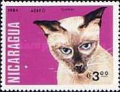 Siamese Cat (Felis silvestris catus)