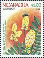 Barajo (Cassia alata)