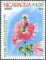 Althea rosea