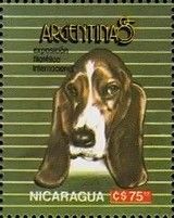 ARGENTINA '85. Basset Hound (Canis lupus familiaris)