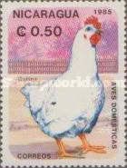 Chicken (Gallus gallus domesticus)