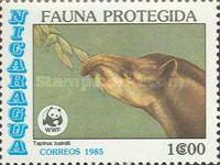Central American Tapir  (Tapirus bairdii)