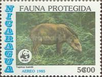 Central American Tapir  (Tapirus bairdii)