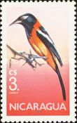 Venezuelan Troupial (Icterus icterus)