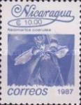 Neomarica coerulea