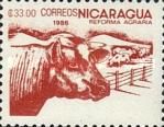 Cow and pasture
