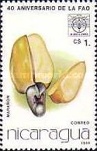 Maranon (Cashew)