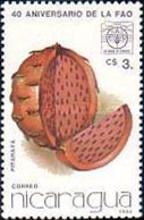 Pitahaya