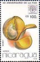 Mamey