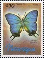 Hewitson's Blue Hairstreak (Theritas coronata)
