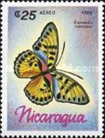 True Forester (Euphaedra cyparissa)