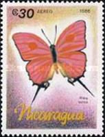 Orange Imperial (Ritra aurea)