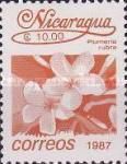 Plumeria rubra