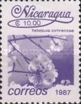 Tabebuia ochracea