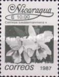Cattleya lueddemanniana x