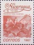 Hibiscus rosa
