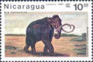 Columbian Mammoth (Mammuthus columbi)