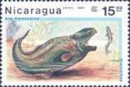 Dinichthys