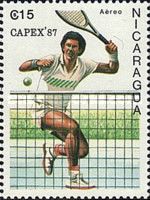Player at Net