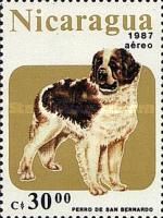 Saint Bernard Dog (Canis lupus familiaris)