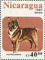 Västgötaspets (Canis lupus familiaris)