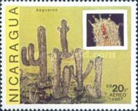 Saguaros