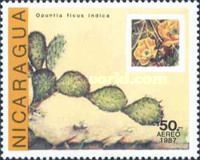 Opuntia ficus indica