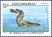 Tropical Gar (Atractosteus tropicus)