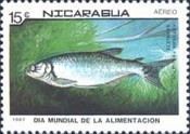 Banded Tetra (Astyana fasciatus)