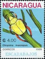 Shining Leaf Chafer (Chrysina macropus)