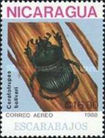 Beetle (Ceratrupes bolivari)