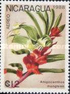 Anigozanthos manglesii