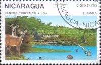 Xiloa