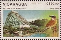 Hotels of Managua, bird