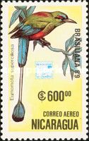 Turquoise-browed Motmot (Eumomota superciliosa)