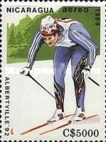 Cross Country Skiing