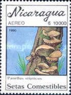 Panellus stipticus