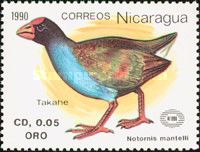 Takahe (Notornis mantelli)