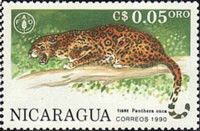 Jaguar (Panthera onca)