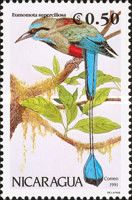 Turquoise-browed Motmot (Eumomota supercilliosa)