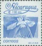 Stachytarpheta indica