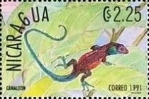 Chameleon