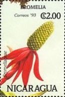 Bromeliaceae