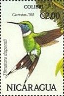 Sparkling-tailed Hummingbird (Tilmatura dupontii)