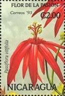 Passiflora vitifolia.