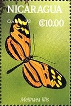 Mimc Tigerwing (Melinaea lilis)