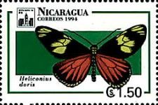 The Doris (Heliconius doris)