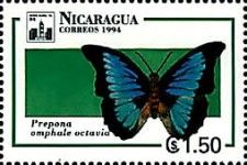 Shaded Blue Leafwing (Prepona omphale ssp. octavia)