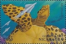 Archelon.