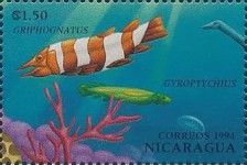 Griphognatus, Gyroptychius.